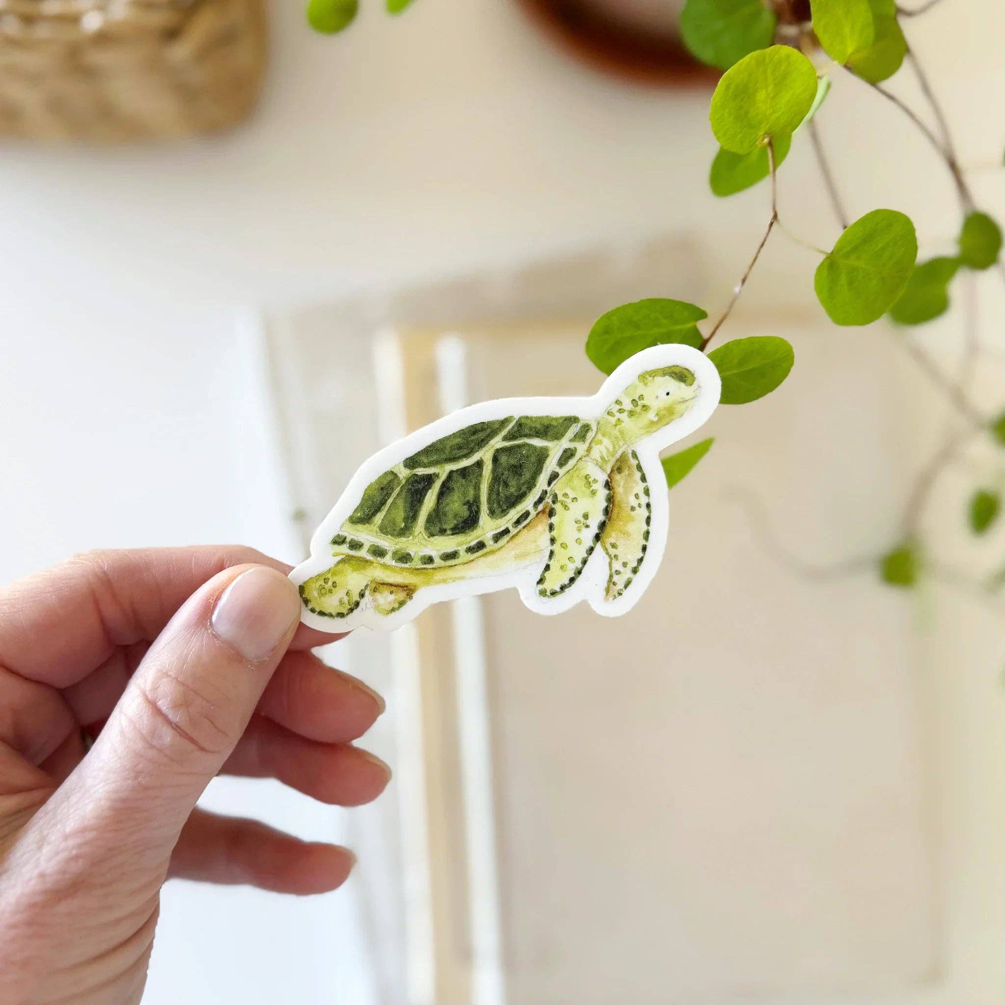 Sea turtle sticker – Create Shoppe