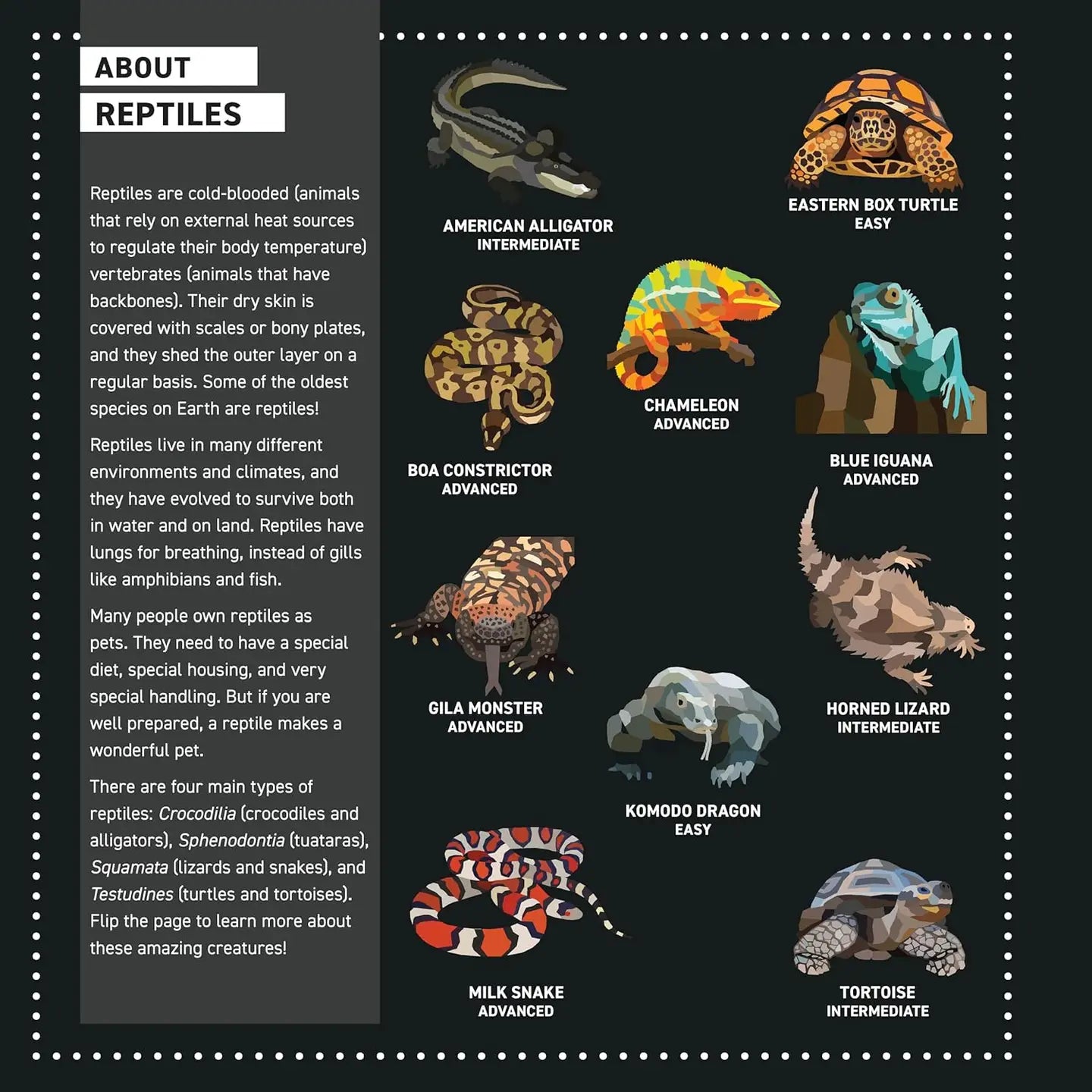 My Sticker Paintings: Reptiles image 1