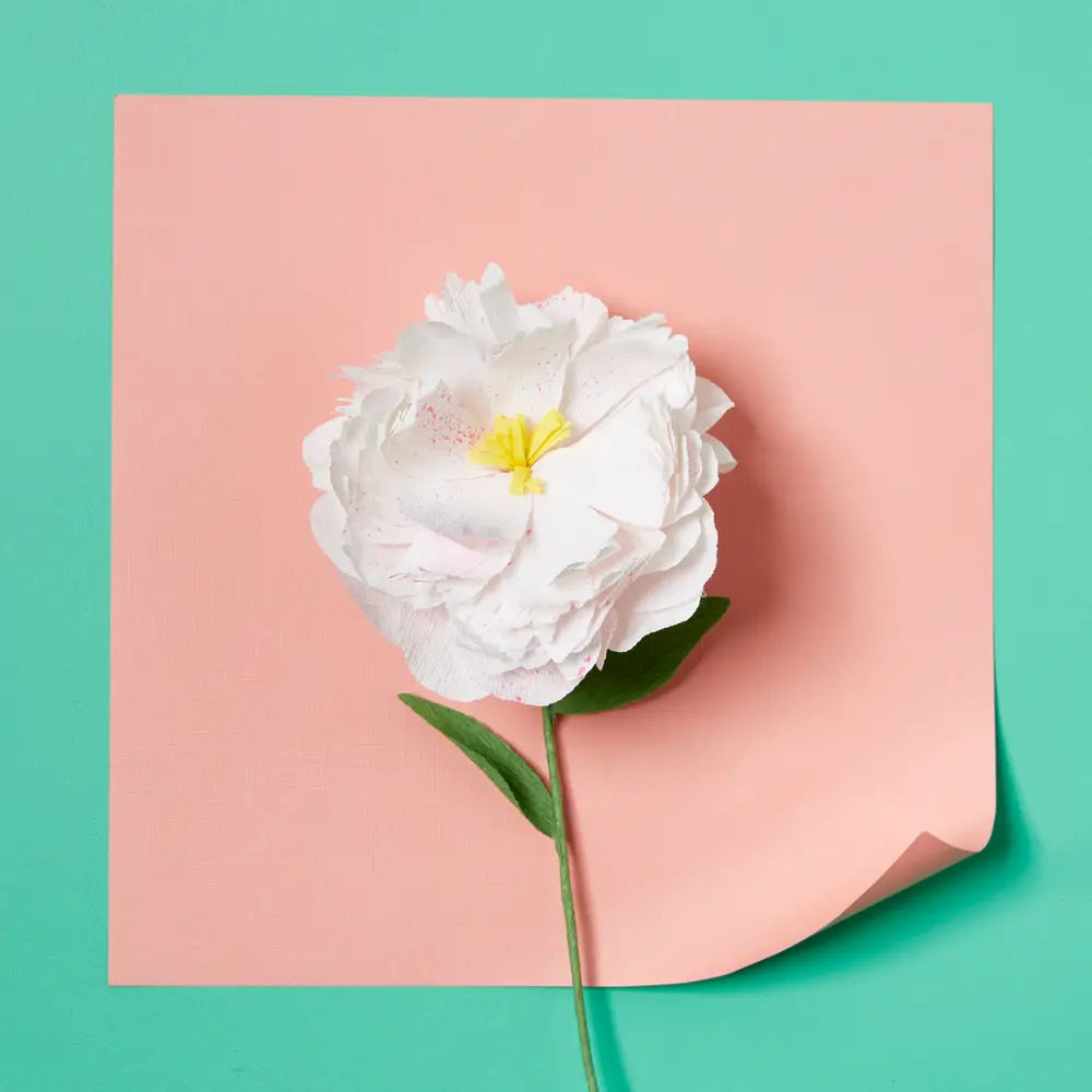 Paper Flower Making Kit image 4