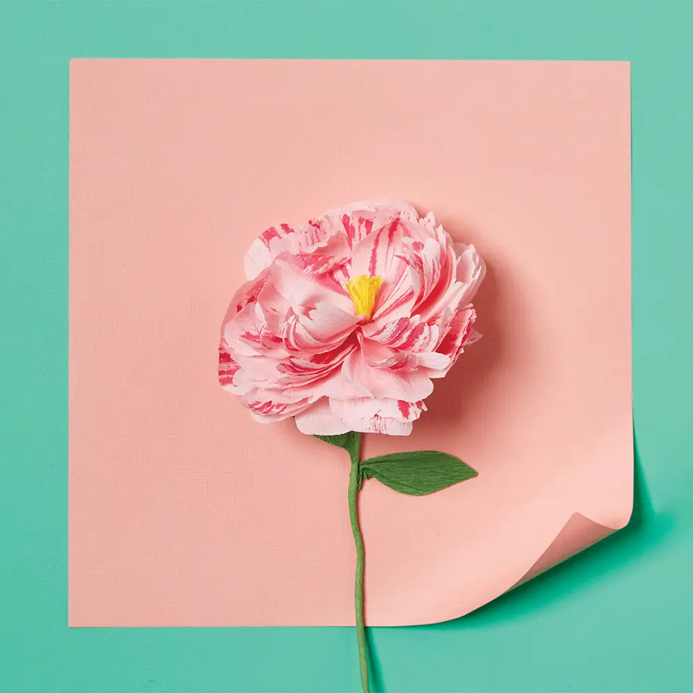 Paper Flower Making Kit image 2